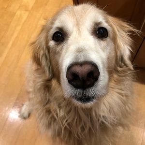 Meet your Posher, Lynn